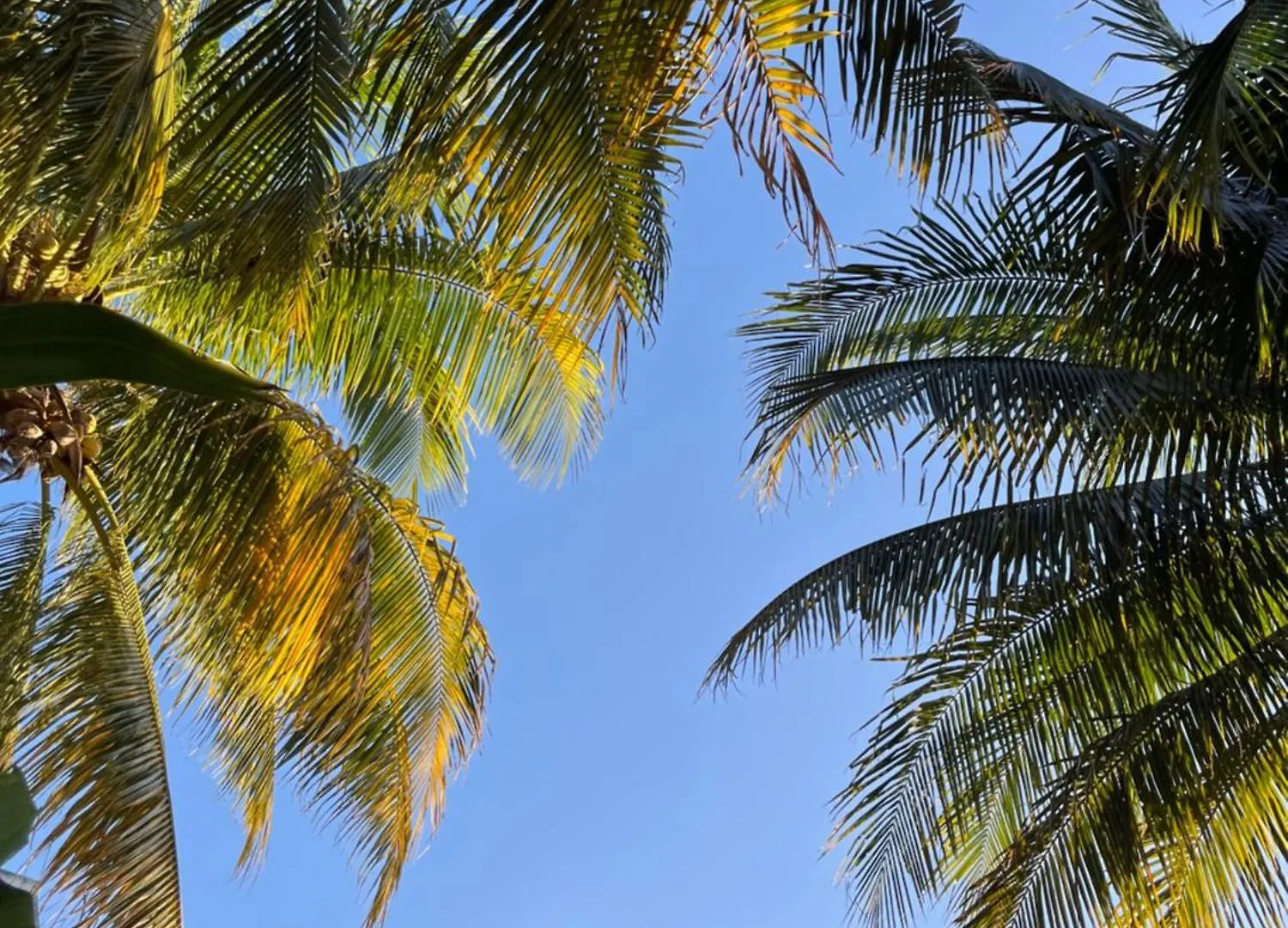 Lumina Apartment Tulum
